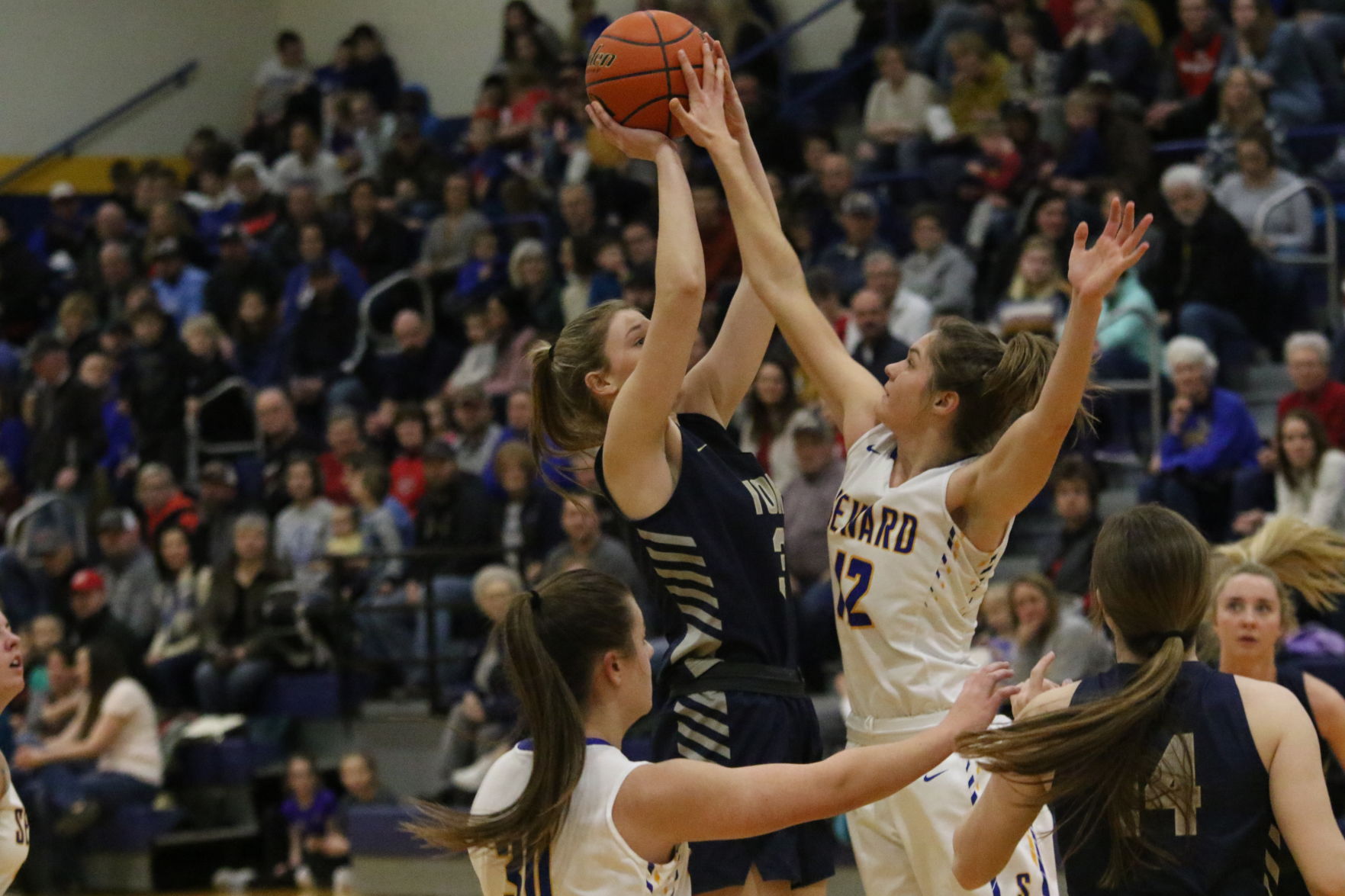 York vs. Seward girls basketball 14.JPG